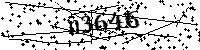Inserire le lettere e i numeri qui sotto