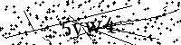 Inserire le lettere e i numeri qui sotto