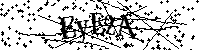 Inserire le lettere e i numeri qui sotto