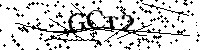 Inserire le lettere e i numeri qui sotto