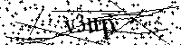Inserire le lettere e i numeri qui sotto
