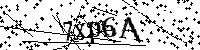 Inserire le lettere e i numeri qui sotto