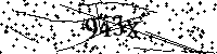 Inserire le lettere e i numeri qui sotto