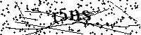 Bitte die Buchstaben und Zahlen unten eingeben
