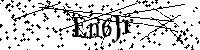 Inserire le lettere e i numeri qui sotto
