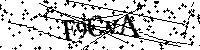 Inserire le lettere e i numeri qui sotto