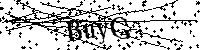 Inserire le lettere e i numeri qui sotto