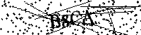Bitte die Buchstaben und Zahlen unten eingeben