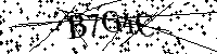 Inserire le lettere e i numeri qui sotto
