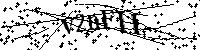 Inserire le lettere e i numeri qui sotto