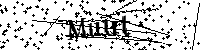 Inserire le lettere e i numeri qui sotto