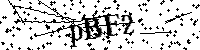Inserire le lettere e i numeri qui sotto