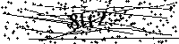 Inserire le lettere e i numeri qui sotto