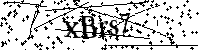 Inserire le lettere e i numeri qui sotto