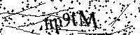 Inserire le lettere e i numeri qui sotto