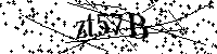 Inserire le lettere e i numeri qui sotto