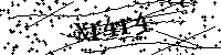 Inserire le lettere e i numeri qui sotto