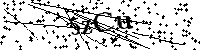 Inserire le lettere e i numeri qui sotto