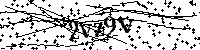 Inserire le lettere e i numeri qui sotto
