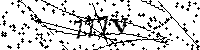 Inserire le lettere e i numeri qui sotto