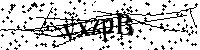 Inserire le lettere e i numeri qui sotto