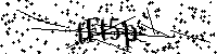 Inserire le lettere e i numeri qui sotto