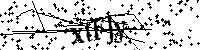 Inserire le lettere e i numeri qui sotto