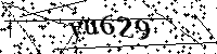 Inserire le lettere e i numeri qui sotto
