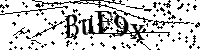 Bitte die Buchstaben und Zahlen unten eingeben