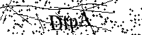 Bitte die Buchstaben und Zahlen unten eingeben