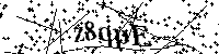 Inserire le lettere e i numeri qui sotto