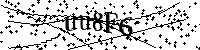 Inserire le lettere e i numeri qui sotto