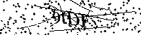 Inserire le lettere e i numeri qui sotto