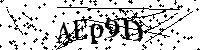 Inserire le lettere e i numeri qui sotto