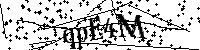 Inserire le lettere e i numeri qui sotto
