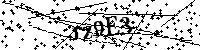 Inserire le lettere e i numeri qui sotto