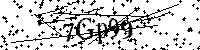 Inserire le lettere e i numeri qui sotto