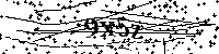 Inserire le lettere e i numeri qui sotto