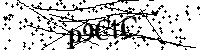 Bitte die Buchstaben und Zahlen unten eingeben