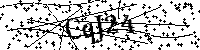 Inserire le lettere e i numeri qui sotto