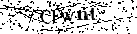 Inserire le lettere e i numeri qui sotto