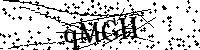 Inserire le lettere e i numeri qui sotto