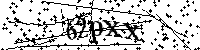 Inserire le lettere e i numeri qui sotto