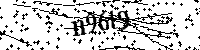 Inserire le lettere e i numeri qui sotto