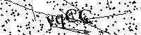 Inserire le lettere e i numeri qui sotto