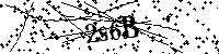 Inserire le lettere e i numeri qui sotto