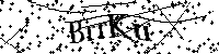Inserire le lettere e i numeri qui sotto