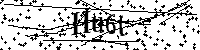 Inserire le lettere e i numeri qui sotto