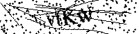 Inserire le lettere e i numeri qui sotto