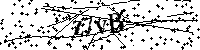 Inserire le lettere e i numeri qui sotto